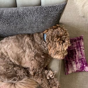 Meet your Posher, Ava